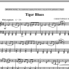 Christopher Norton Tiger Blues Musik Noten - Piano Solo - 90362-0