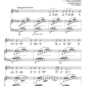 Colin Matthews I was lonely and forlorn Musik Noten - Piano & Vocal - 96806-0