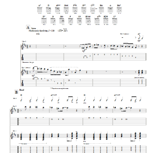 Django Reinhardt Belleville Musik Noten - Guitar Tab - 21976-0