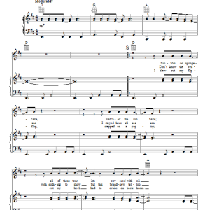 Jimmy Buffett Margaritaville Musik Noten - Piano, Vocal & Guitar Chords - 99250-0