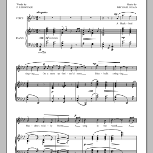 Michael Head A Blackbird Singing Musik Noten - Piano & Vocal - 90936-0
