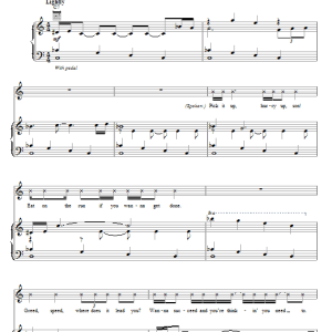 Neil Diamond Slow It Down Musik Noten - Piano, Vocal & Guitar Chords - 68130-0