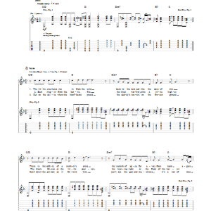 Neil Young War Of Man Musik Noten - Guitar Tab - 98834-0
