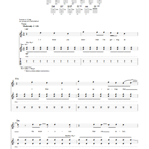 Relient K Which To Bury; Us Or The Hatchet? Musik Noten - Guitar Tab - 51254-0