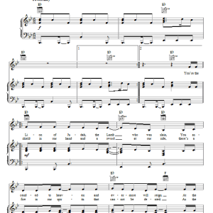 Robin Mark You're The Lion Of Judah Musik Noten - Piano, Vocal & Guitar Chords - 63155-0