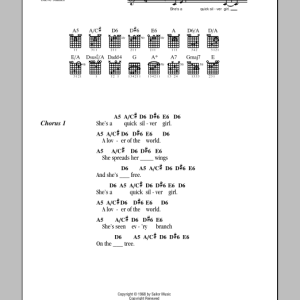 Steve Miller Band Quick Silver Girl Musik Noten - Guitar Chords/Lyrics - 79163-0