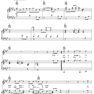 Stevie Nicks After The Glitter Fades Musik Noten - Piano, Vocal & Guitar Chords - 59088-0