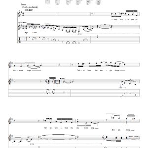 Ted Nugent Thighraceous Musik Noten - Guitar Tab - 27615-0
