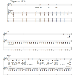 The Nightwatchman Flesh Shapes The Day Musik Noten - Guitar Tab - 62243-0